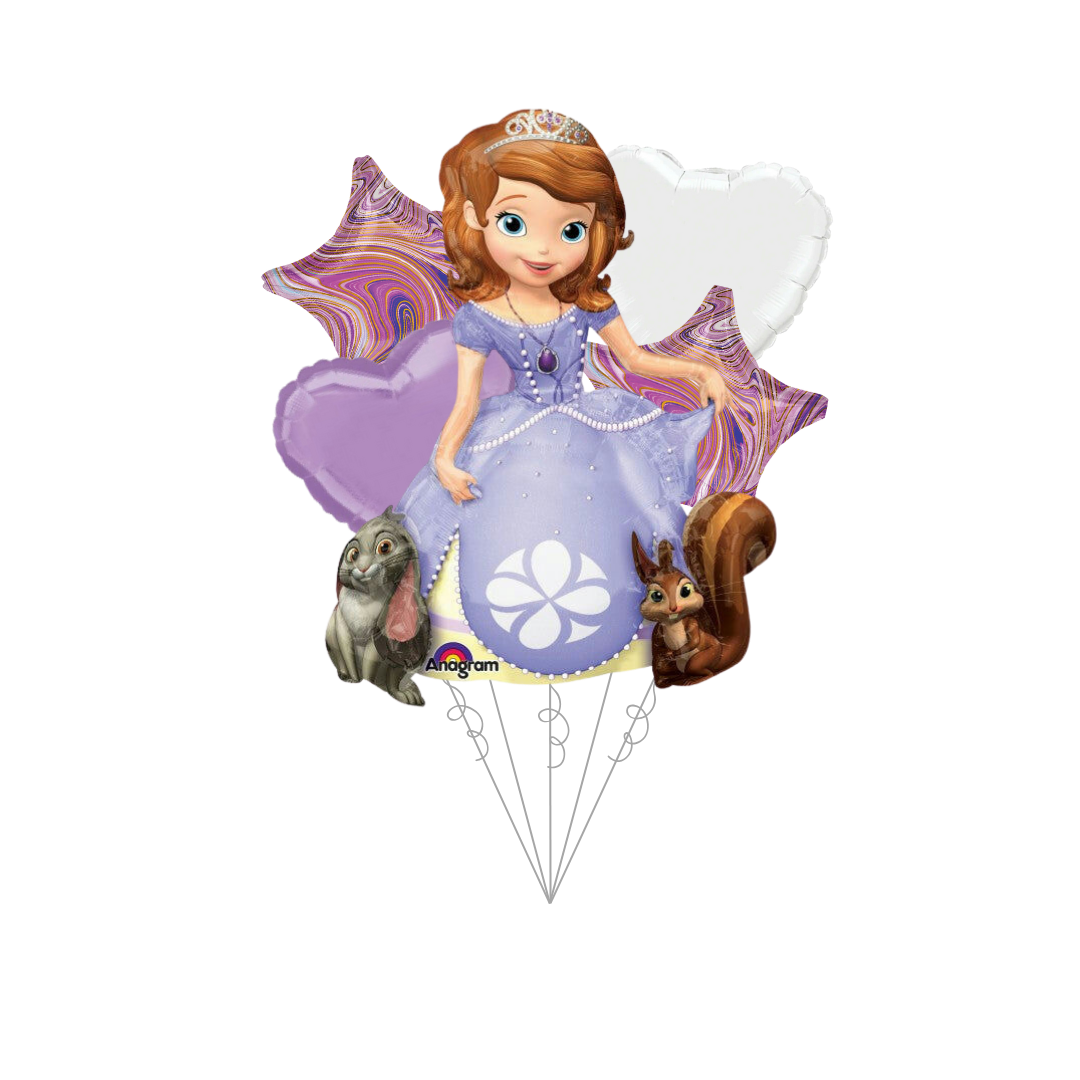 Sofia The First Bundle