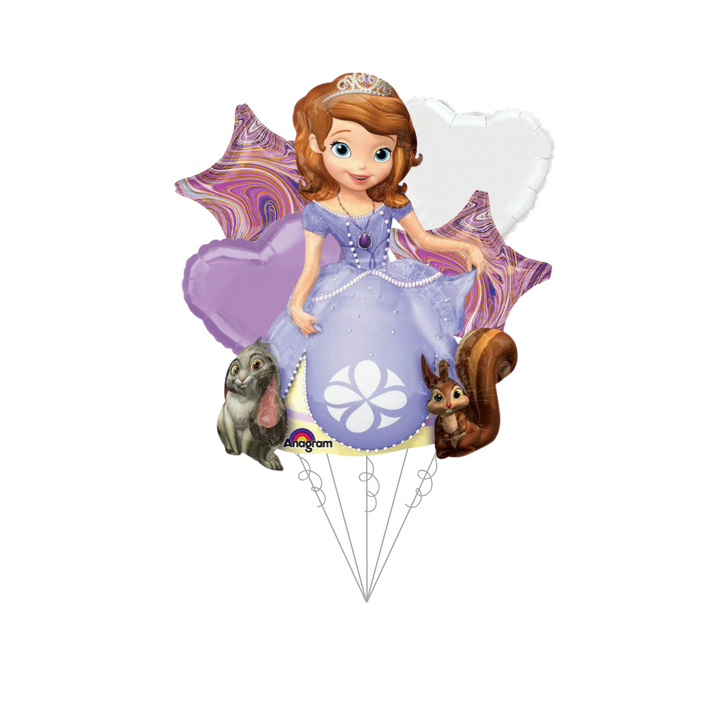 Sofia The First Bundle