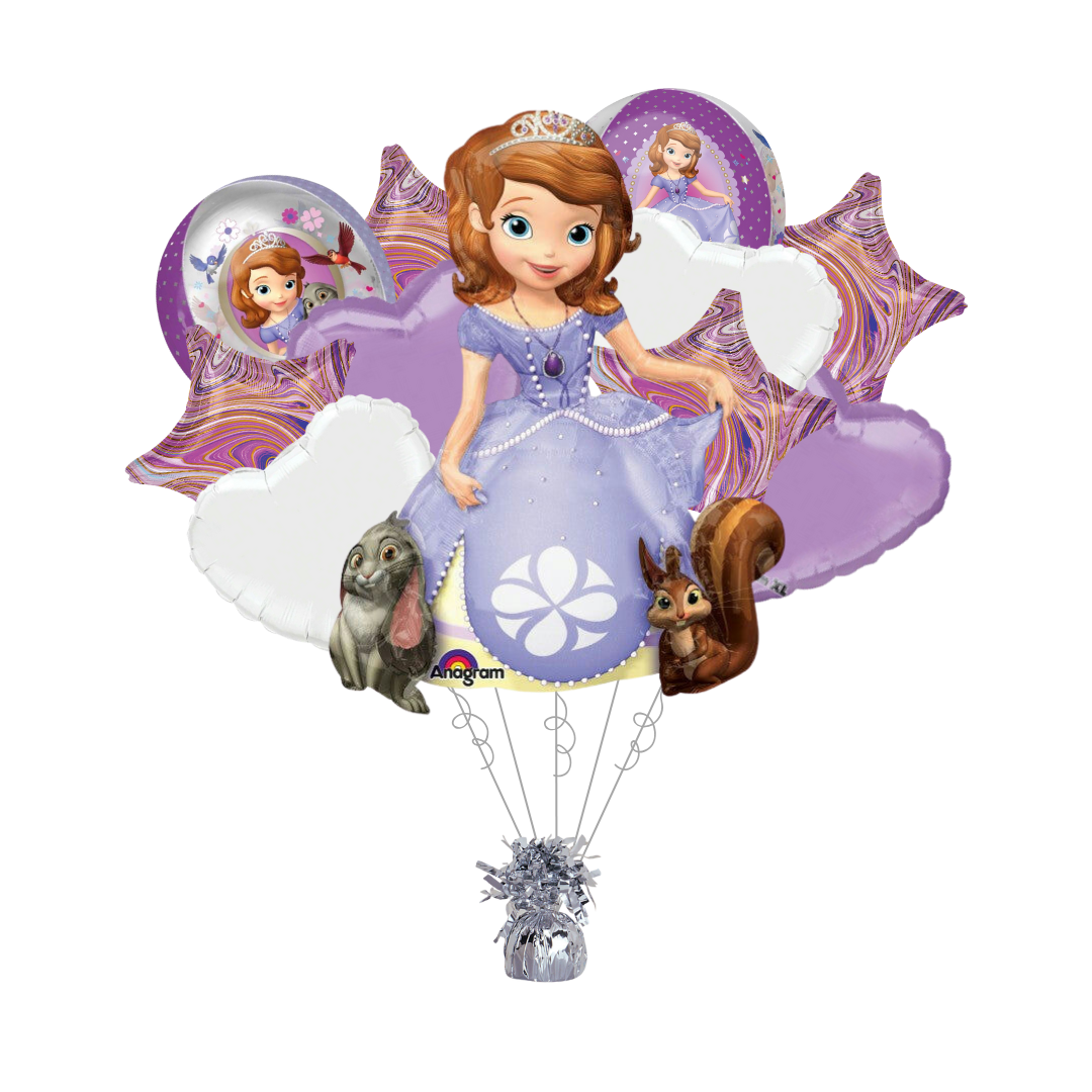 Sofia The First Bundle