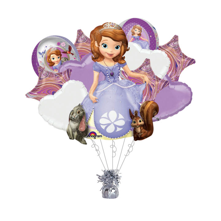 Sofia The First Bundle