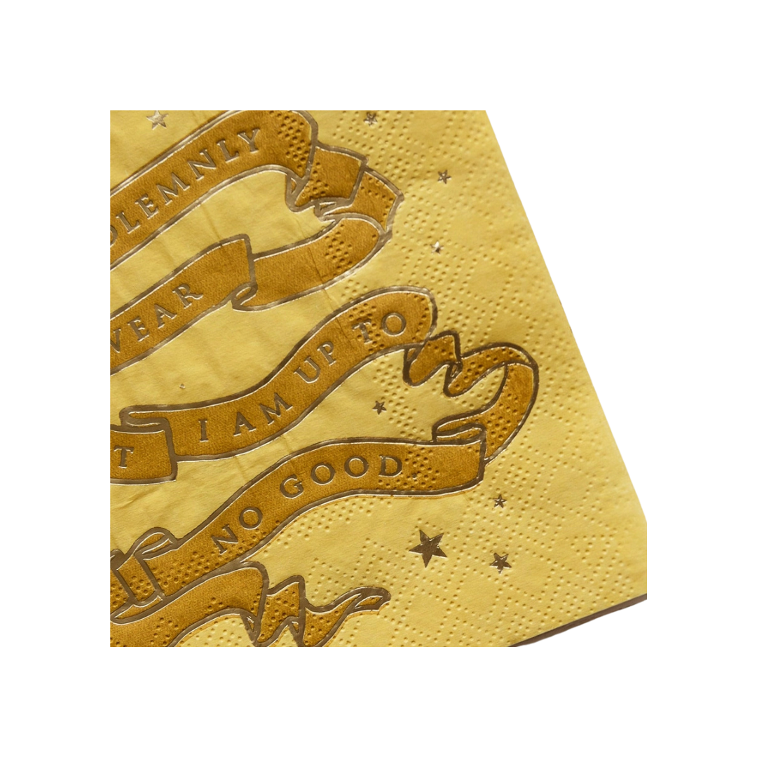 Harry Potter House Pride Small Party Napkins