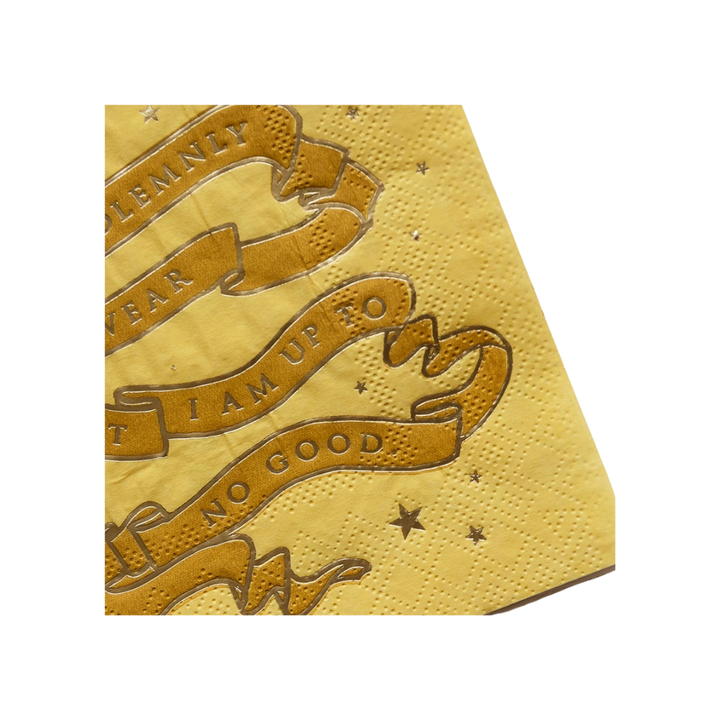 Harry Potter House Pride Small Party Napkins