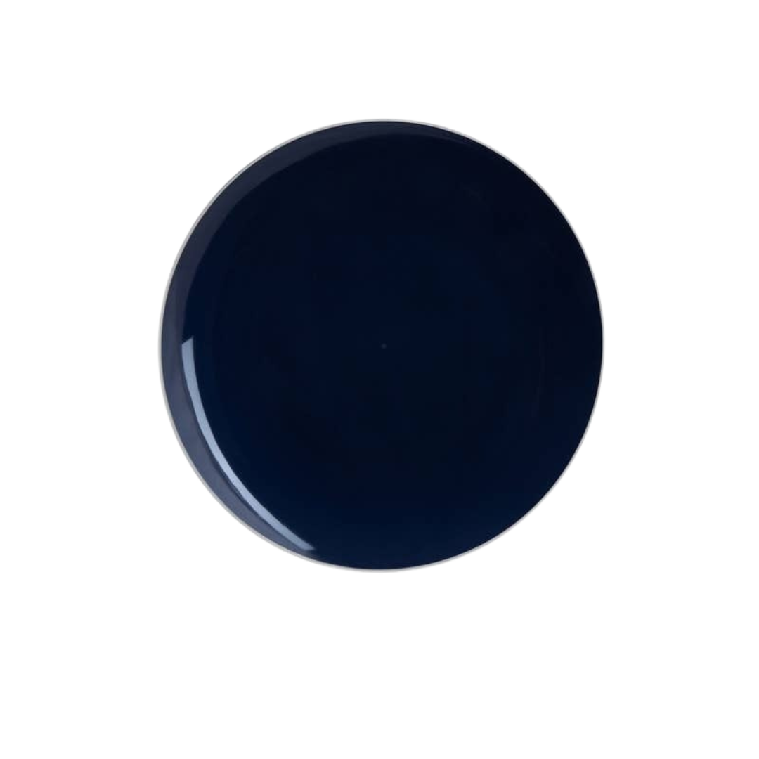 Navy Silver Rimmed Plastic Plates - 2 Sizes