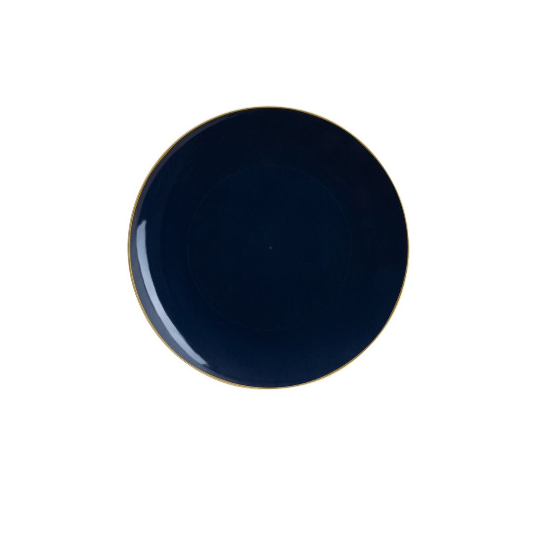 Navy Gold Rimmed Plastic Plates - 2 Sizes