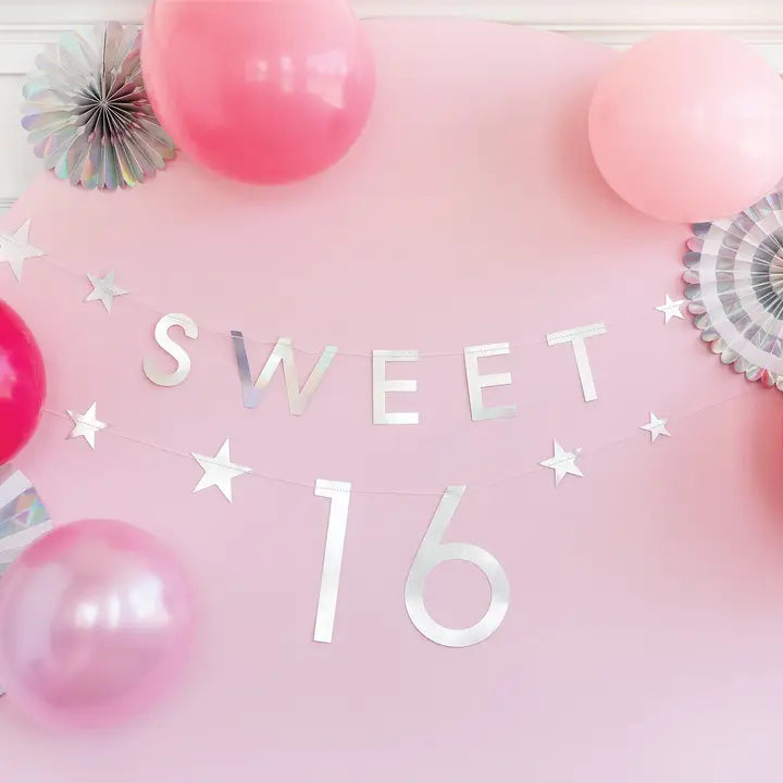 Pink and Silver Sweet 16 Banner