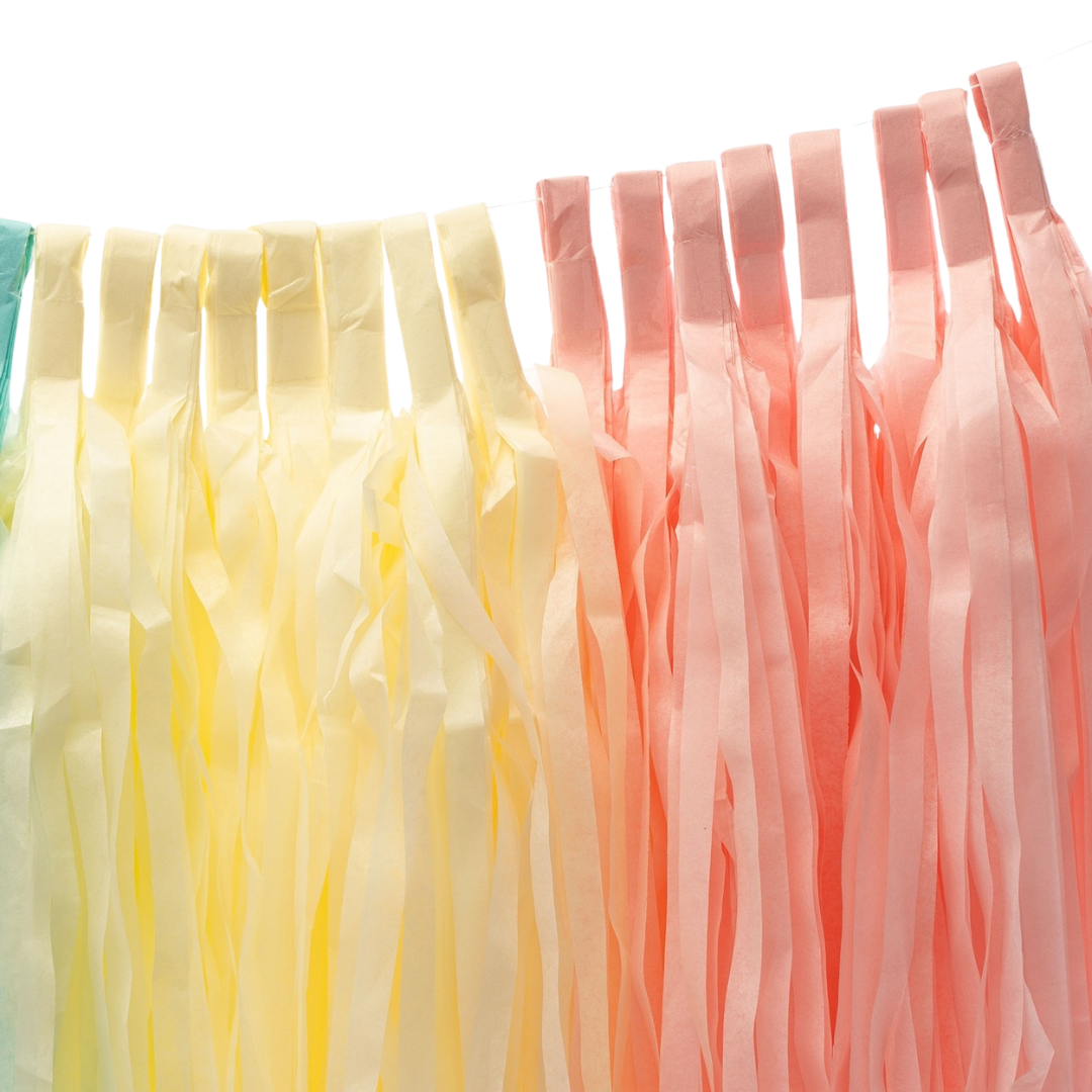 Pastel Rainbow Tassel Garland