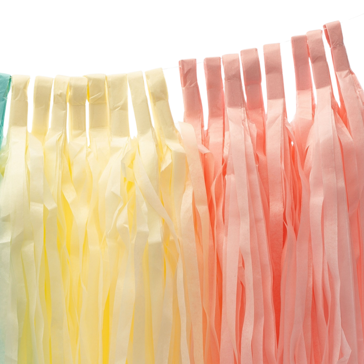 Pastel Rainbow Tassel Garland