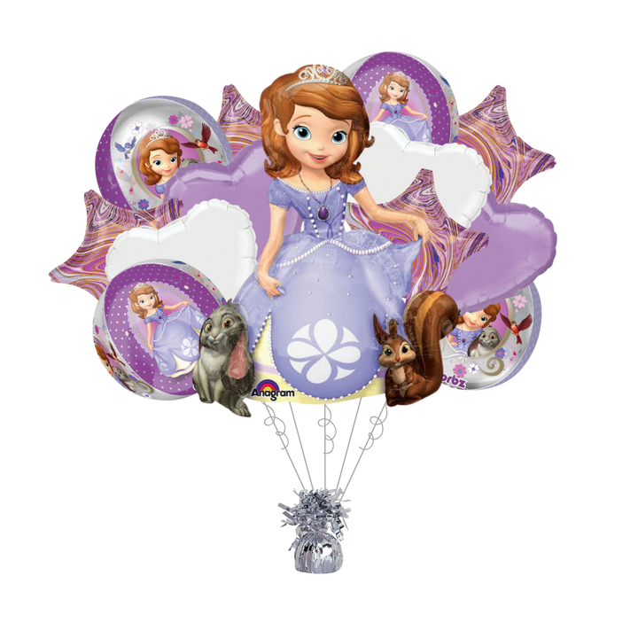 Sofia The First Bundle