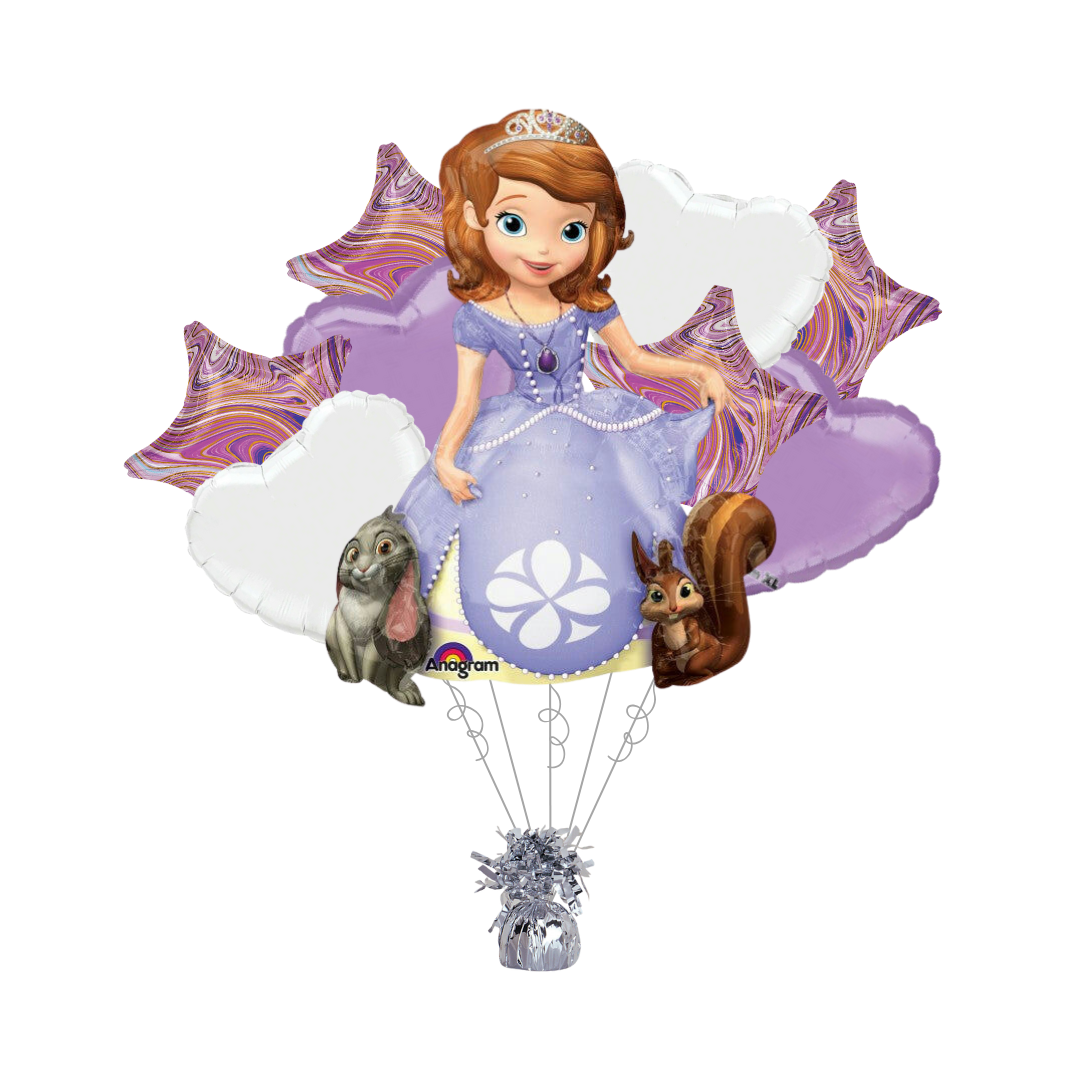 Sofia The First Bundle