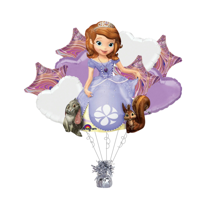 Sofia The First Bundle